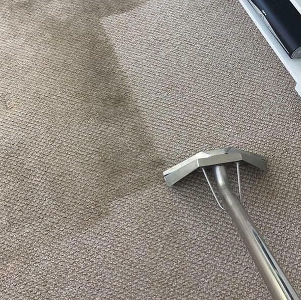 Immaculately presented interior after carpet cleaning by Pure Eden Group